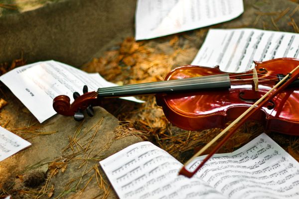 Les meilleures écoles de violon à Orléans pour chaque niveau